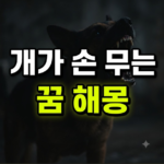 개가 손을 심하게 무는 꿈 해몽