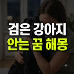 검은 강아지 안는 꿈 해몽