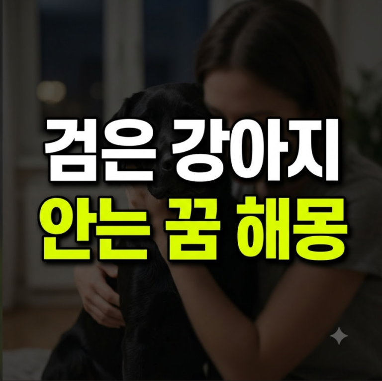 검은 강아지 안는 꿈 해몽