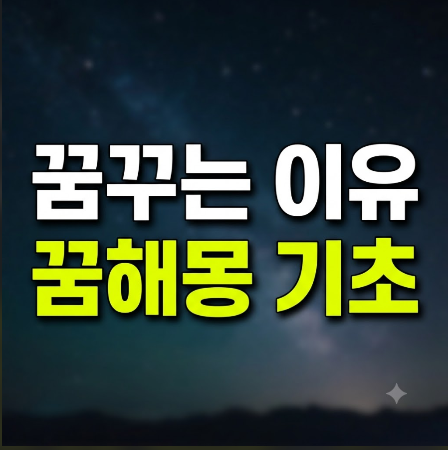 꿈해몽 기초