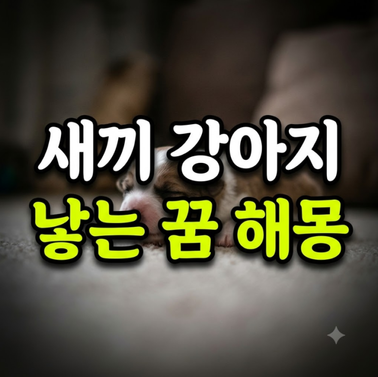 새끼 강아지 낳는 꿈 해몽