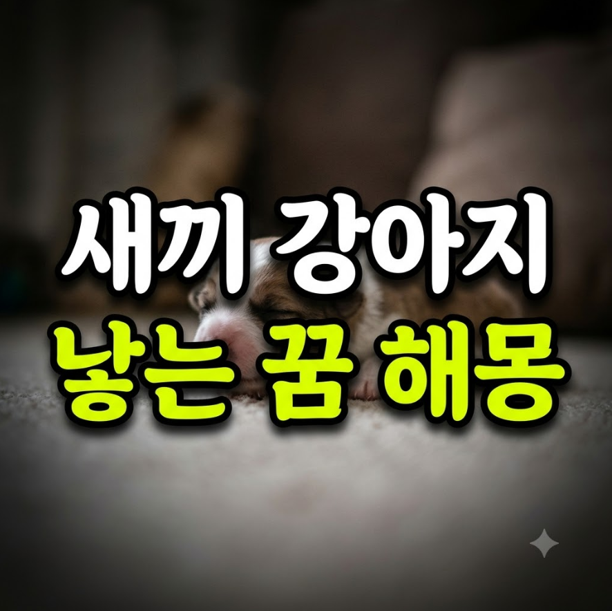 새끼 강아지 낳는 꿈 해몽
